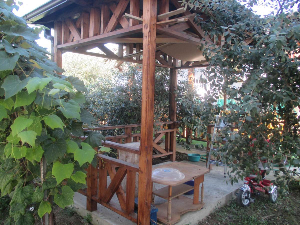Guest House У Дедушки Самвела Alakhadzi Exterior photo